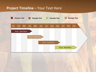 Portrait Reptile Looking PowerPoint Template
