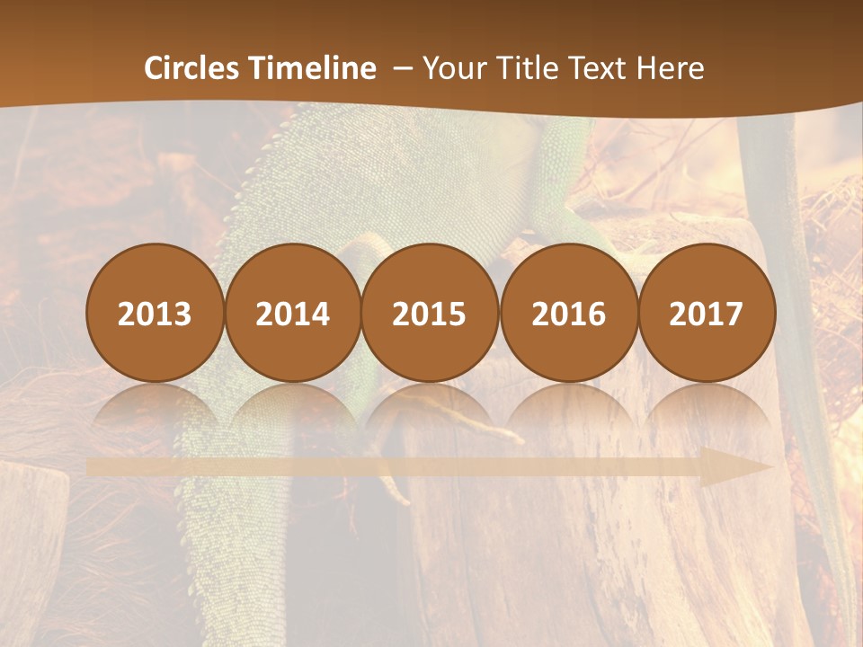 Portrait Reptile Looking PowerPoint Template