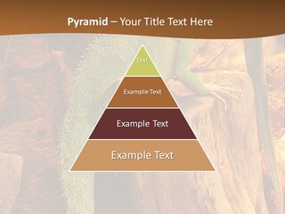 Portrait Reptile Looking PowerPoint Template
