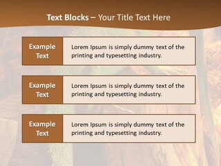 Portrait Reptile Looking PowerPoint Template