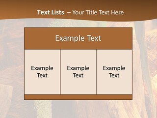 Portrait Reptile Looking PowerPoint Template