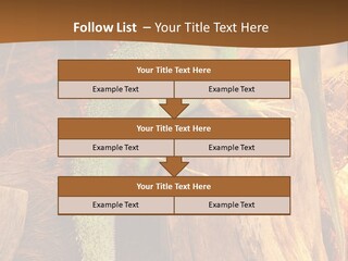 Portrait Reptile Looking PowerPoint Template