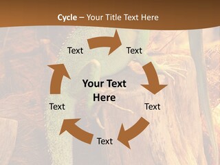 Portrait Reptile Looking PowerPoint Template
