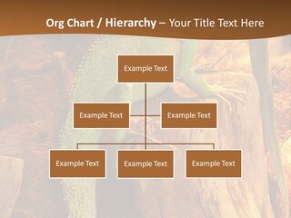 Portrait Reptile Looking PowerPoint Template