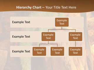 Portrait Reptile Looking PowerPoint Template
