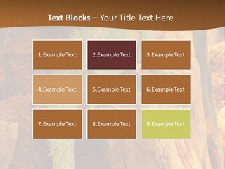 Portrait Reptile Looking PowerPoint Template