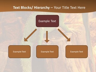 Portrait Reptile Looking PowerPoint Template