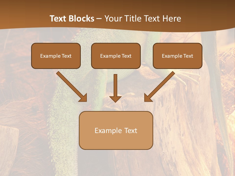Portrait Reptile Looking PowerPoint Template