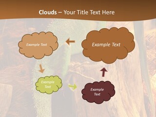 Portrait Reptile Looking PowerPoint Template