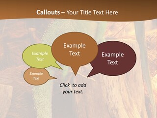 Portrait Reptile Looking PowerPoint Template