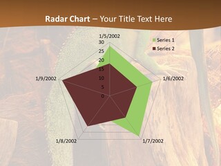 Portrait Reptile Looking PowerPoint Template