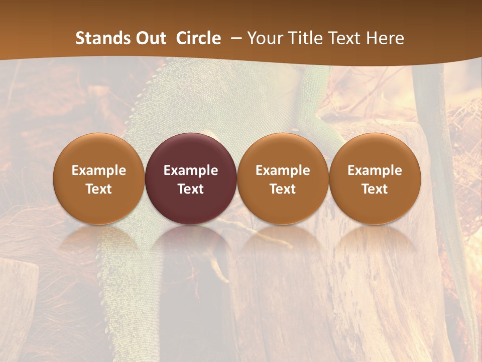 Portrait Reptile Looking PowerPoint Template