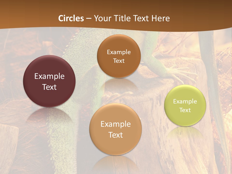 Portrait Reptile Looking PowerPoint Template