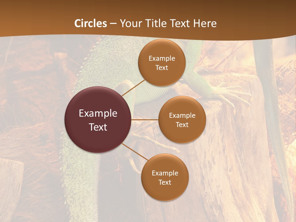 Portrait Reptile Looking PowerPoint Template