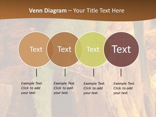 Portrait Reptile Looking PowerPoint Template