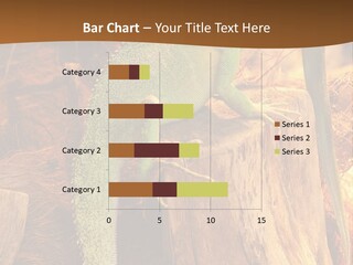Portrait Reptile Looking PowerPoint Template