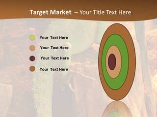 Portrait Reptile Looking PowerPoint Template