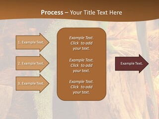Portrait Reptile Looking PowerPoint Template