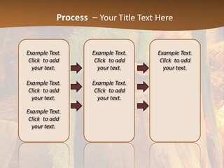 Portrait Reptile Looking PowerPoint Template
