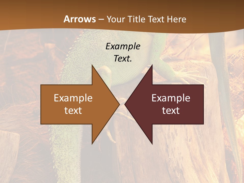 Portrait Reptile Looking PowerPoint Template