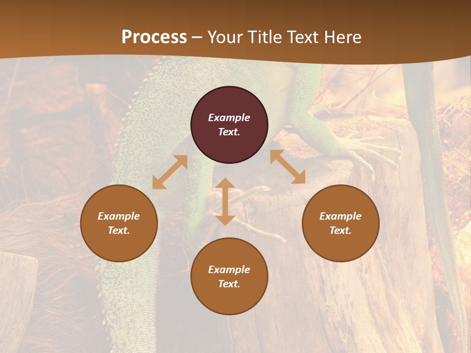 Portrait Reptile Looking PowerPoint Template