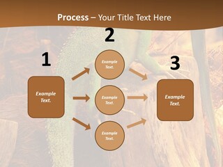 Portrait Reptile Looking PowerPoint Template