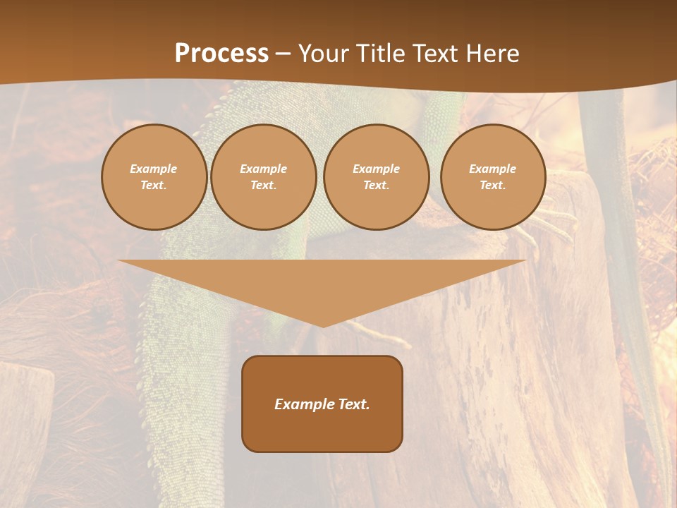 Portrait Reptile Looking PowerPoint Template