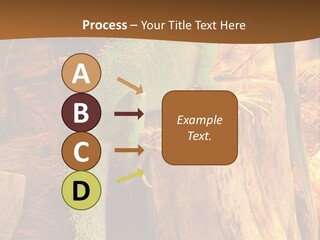 Portrait Reptile Looking PowerPoint Template