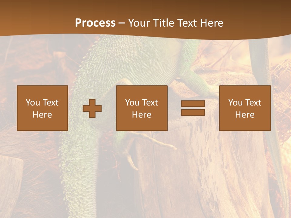 Portrait Reptile Looking PowerPoint Template
