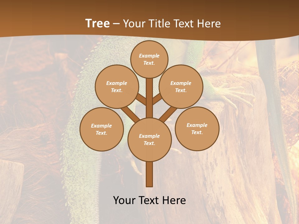 Portrait Reptile Looking PowerPoint Template