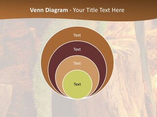 Portrait Reptile Looking PowerPoint Template