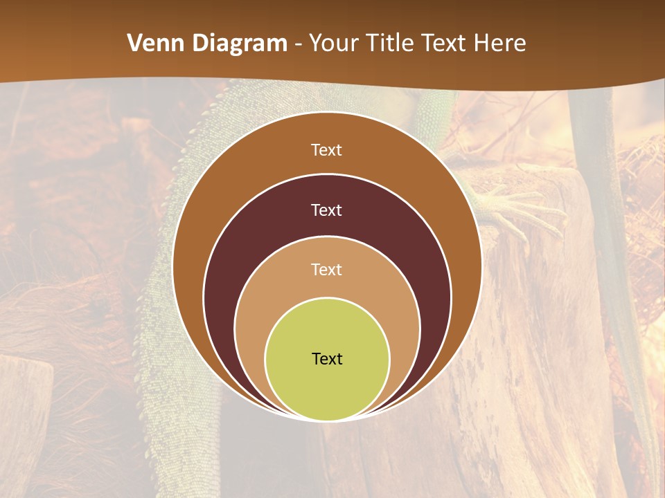 Portrait Reptile Looking PowerPoint Template