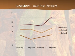 Portrait Reptile Looking PowerPoint Template