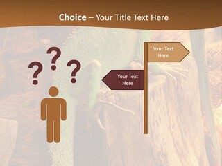 Portrait Reptile Looking PowerPoint Template