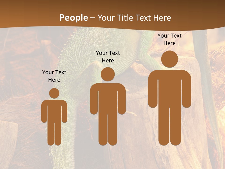 Portrait Reptile Looking PowerPoint Template