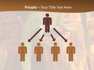 Portrait Reptile Looking PowerPoint Template