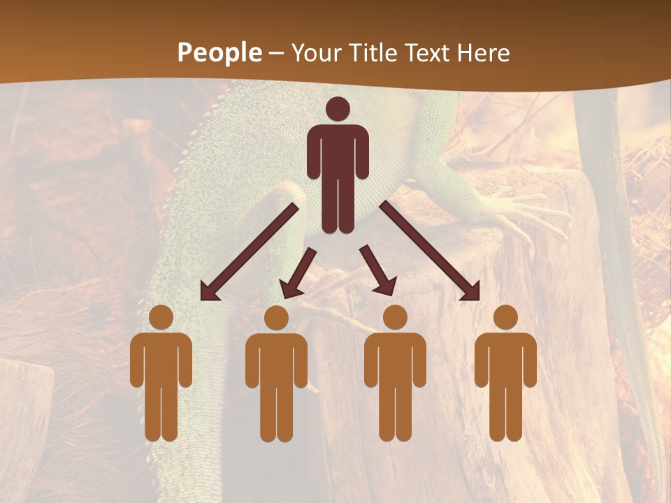 Portrait Reptile Looking PowerPoint Template