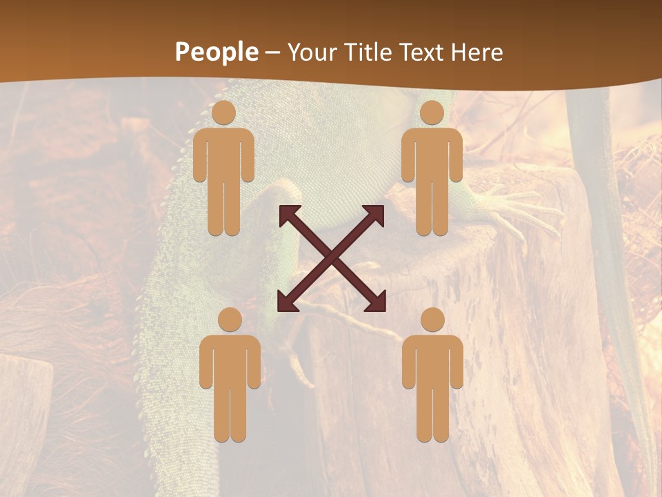 Portrait Reptile Looking PowerPoint Template