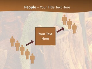 Portrait Reptile Looking PowerPoint Template