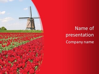Netherlands Red Bulb PowerPoint Template