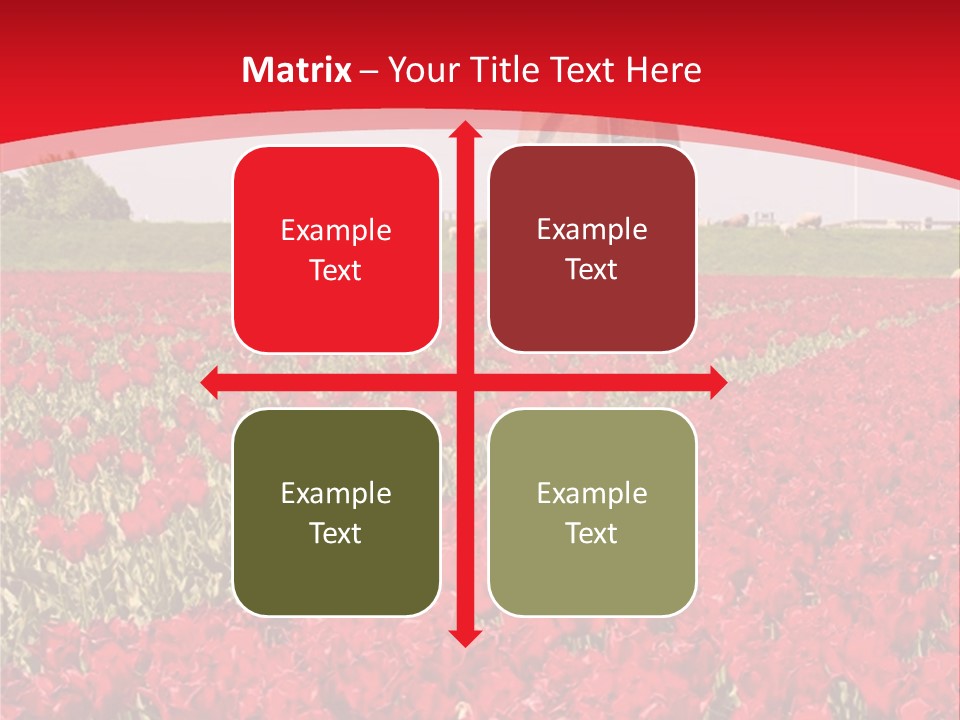 Netherlands Red Bulb PowerPoint Template