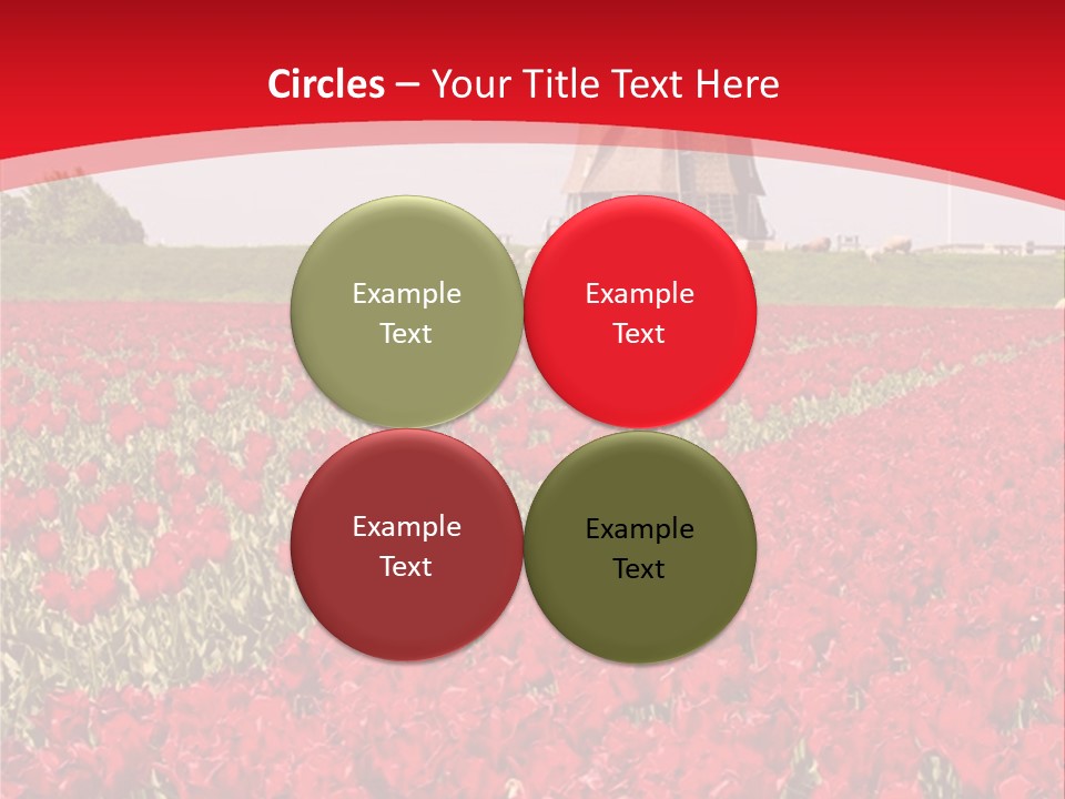 Netherlands Red Bulb PowerPoint Template