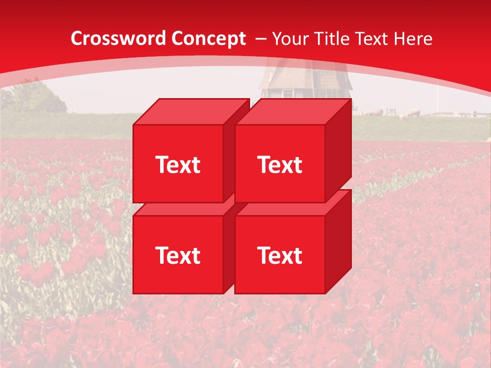 Netherlands Red Bulb PowerPoint Template