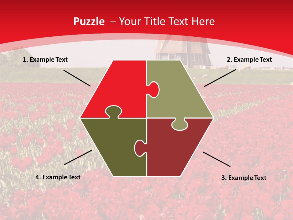 Netherlands Red Bulb PowerPoint Template