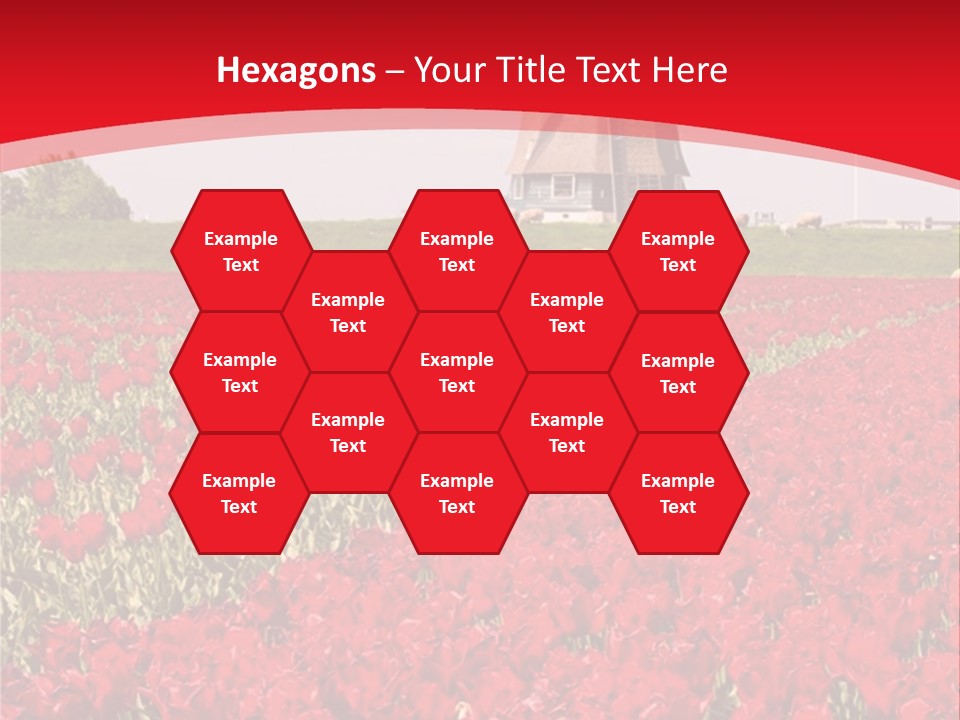 Netherlands Red Bulb PowerPoint Template