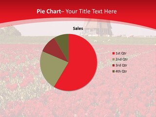 Netherlands Red Bulb PowerPoint Template
