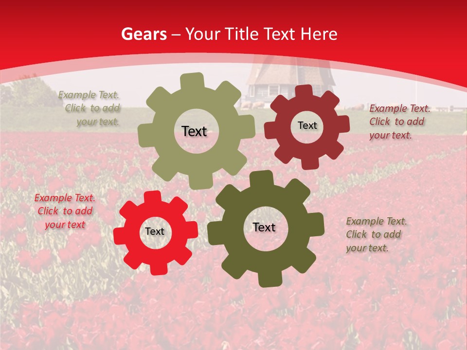 Netherlands Red Bulb PowerPoint Template