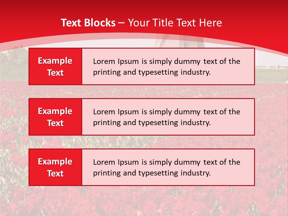 Netherlands Red Bulb PowerPoint Template