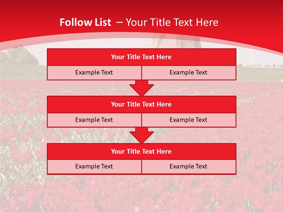 Netherlands Red Bulb PowerPoint Template