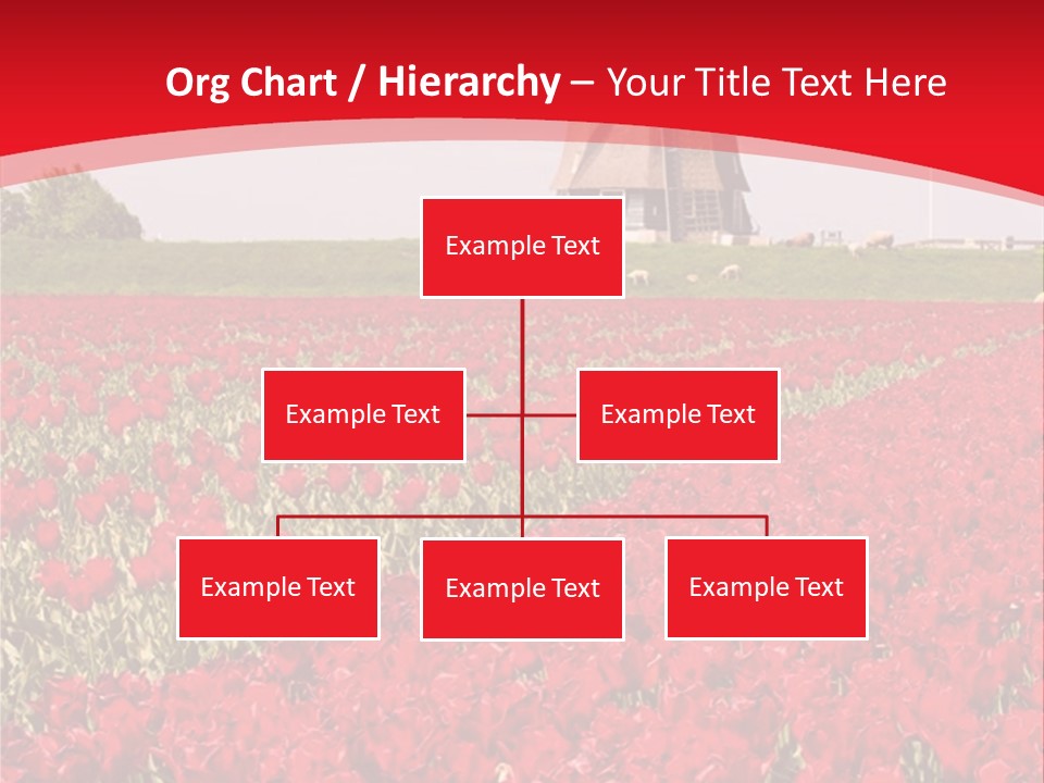 Netherlands Red Bulb PowerPoint Template